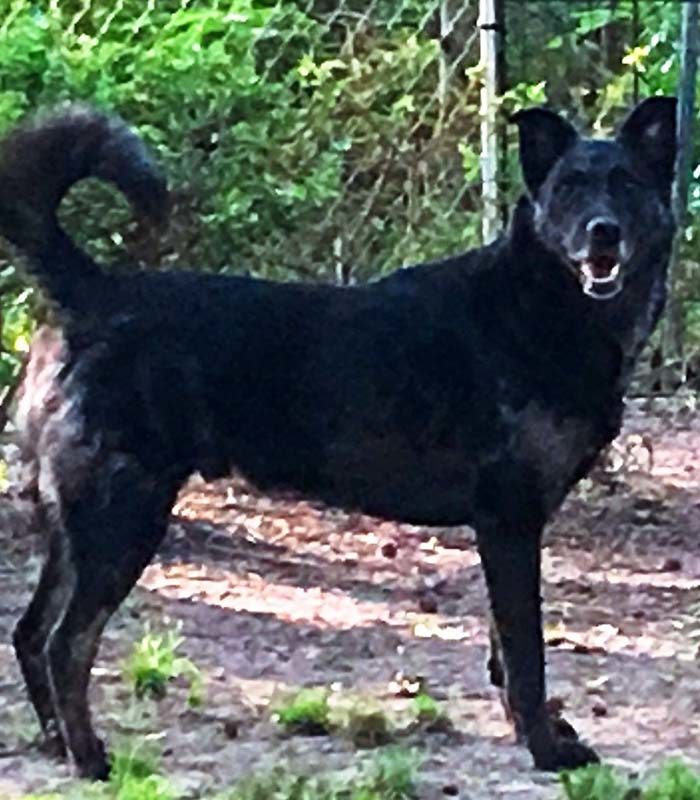 Robyn Moore